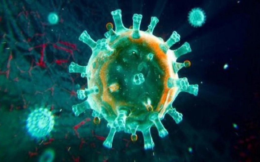 Suriyada vəbaya yoluxanların sayı 426-ya çatıb