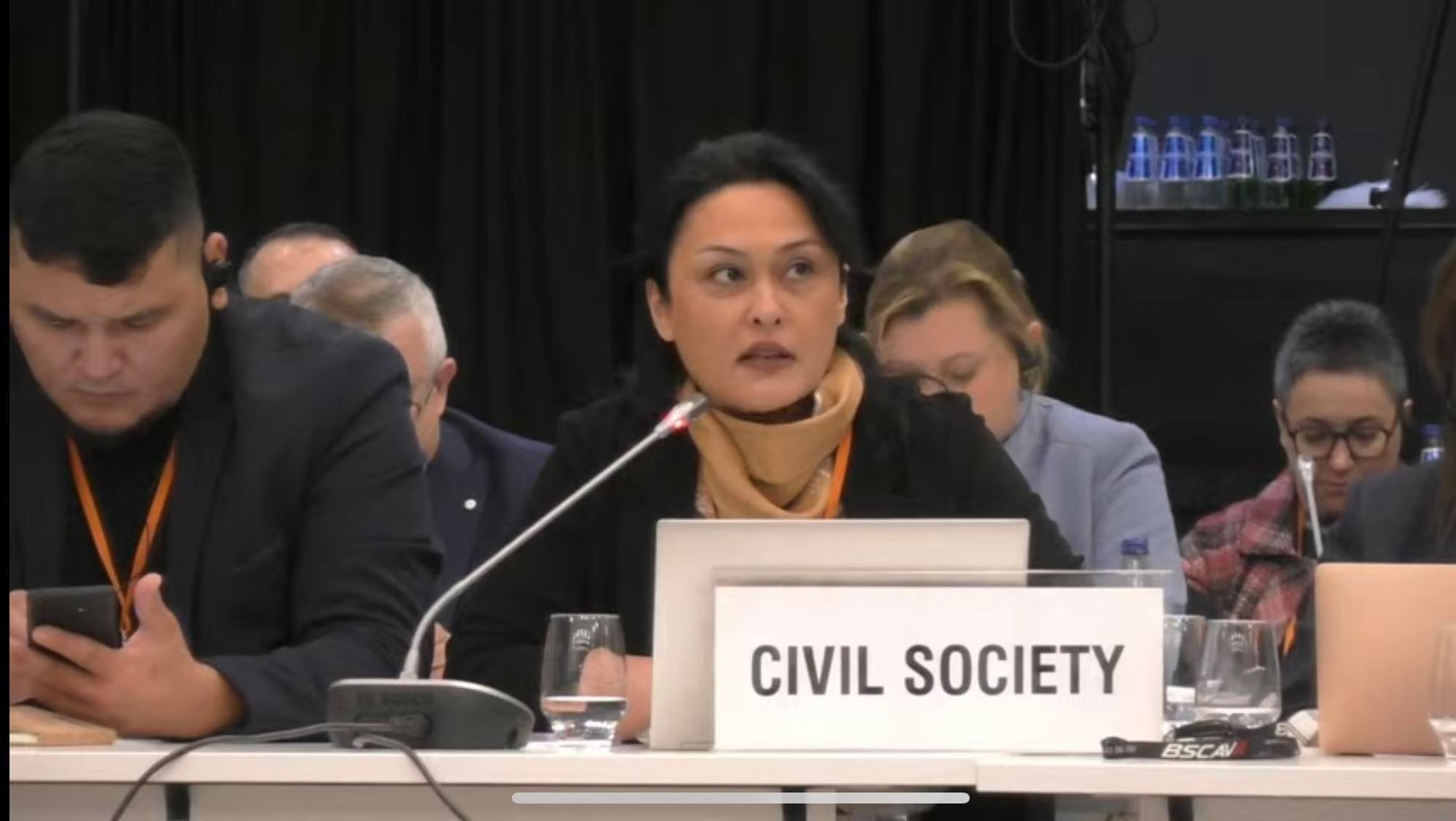 Günel Səfərova: Beynəlxalq təşkilatlar 30 il ərzində harada idilər? - VİDEO