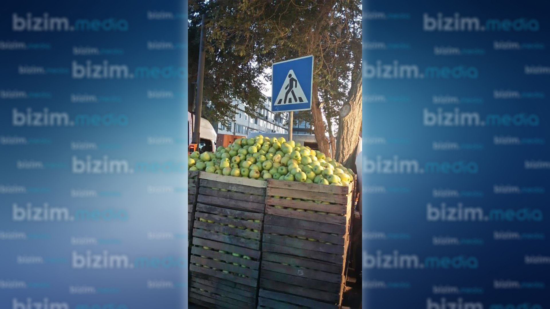 Paytaxtın bu ərazisində qanunsuz küçə ticarəti niyə YIĞIŞDIRILMIR? - VİDEO