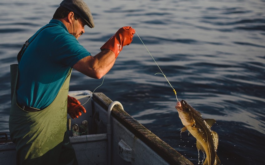 ETSN və DİN-in Su Nəqliyyatında Baş Polis İdarəsi əməkdaşlığa başlayıb