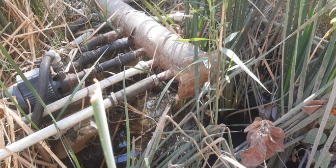 Hacıqabulun ən böyük qəsəbəsində içməli su tapılmır- Videoreportaj