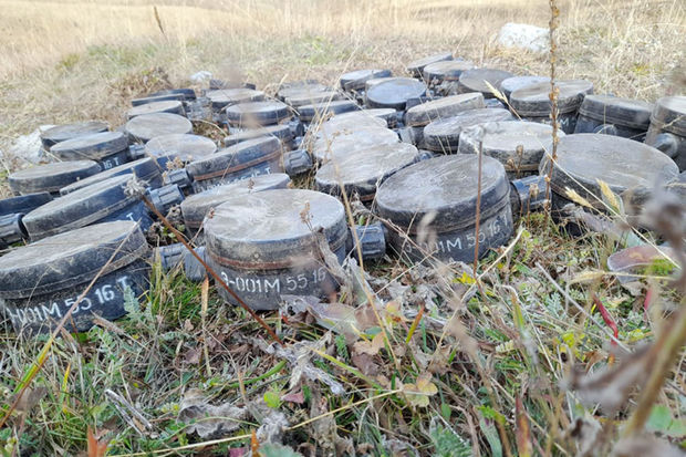 Ermənilərin Daşkəsəndə basdırdıqları yüzlərlə mina zərərsizləşdirildi - FOTO