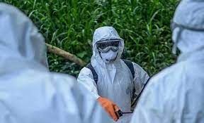 Uqandada Ebola epidemiyasından 29 nəfər ölüb