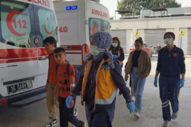 Türkiyədə tədris dayandırıldı: Məktəblilər arıların hücumuna məruz qaldılar - FOTO