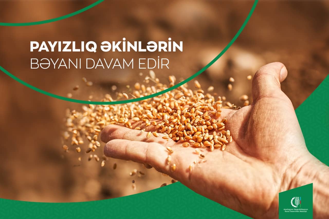 Payızlıq əkinlərin Elektron Kənd Təsərrüfatı İnformasiya Sistemində bəyanı davam edir