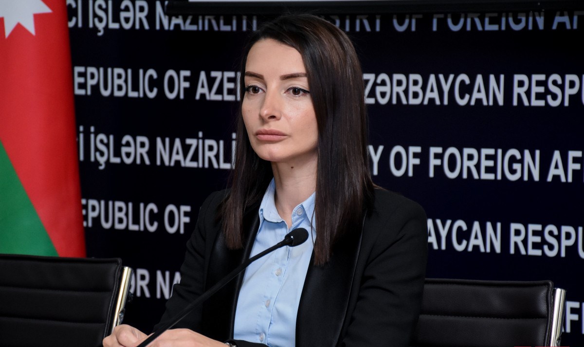 Leyla Abdullayeva: “Ermənistan yalan məlumatlarla övladlarını itirən qəzəbli valideynlərə təsir etmək istəyir”