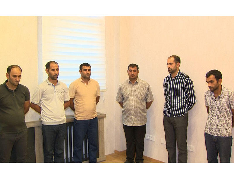 “Hirkan” Milli Parkında ağacları kəsən dəstə ələ keçdi - VİDEO