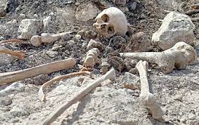 Xocavənddə insan sümükləri tapıldı