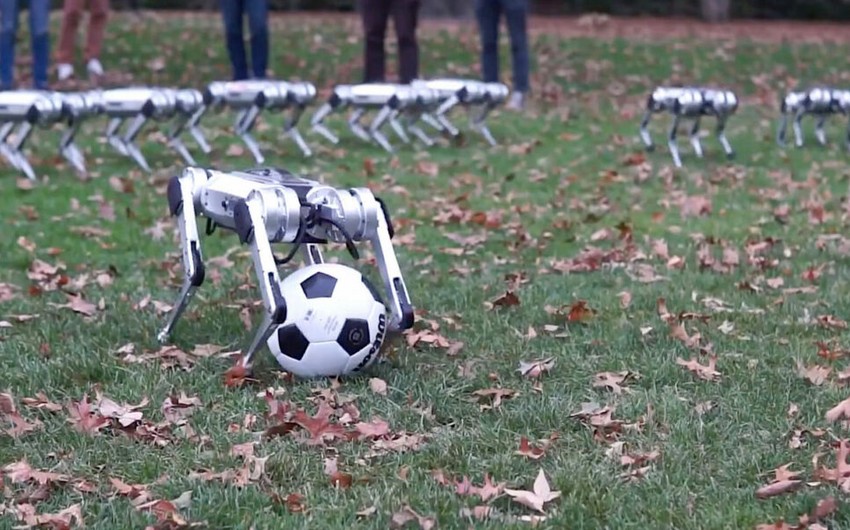 ABŞ alimləri dördayaqlı qapıçı robotu hazırlayıblar