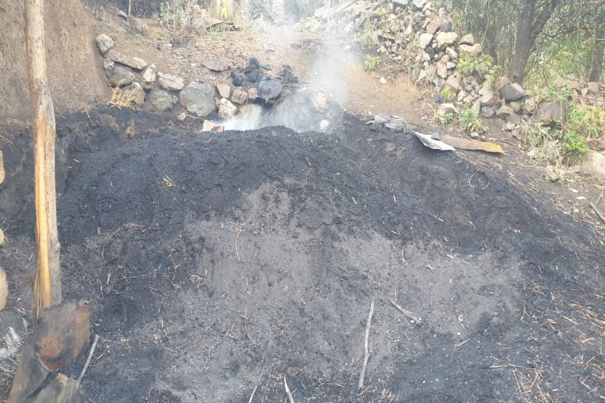 Toğanalıda qanunsuz ağac kömürü istehsal edən 3 ocaqxana və kömür quyusu aşkarlanıb