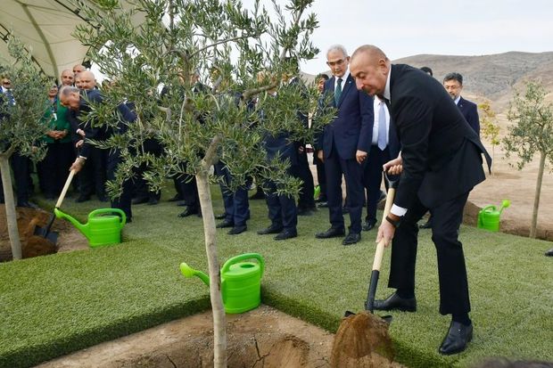 İlham Əliyev və Rəcəb Tayyib Ərdoğan Cəbrayılda ağac əkiblər - FOTO