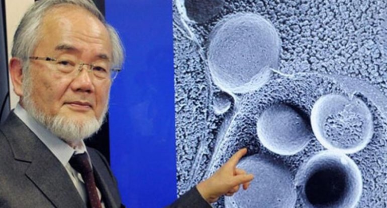 Oruc tutanlar bu xəstəliklərə tez qalib gəlirlər - Yapon alimi sübut etdi