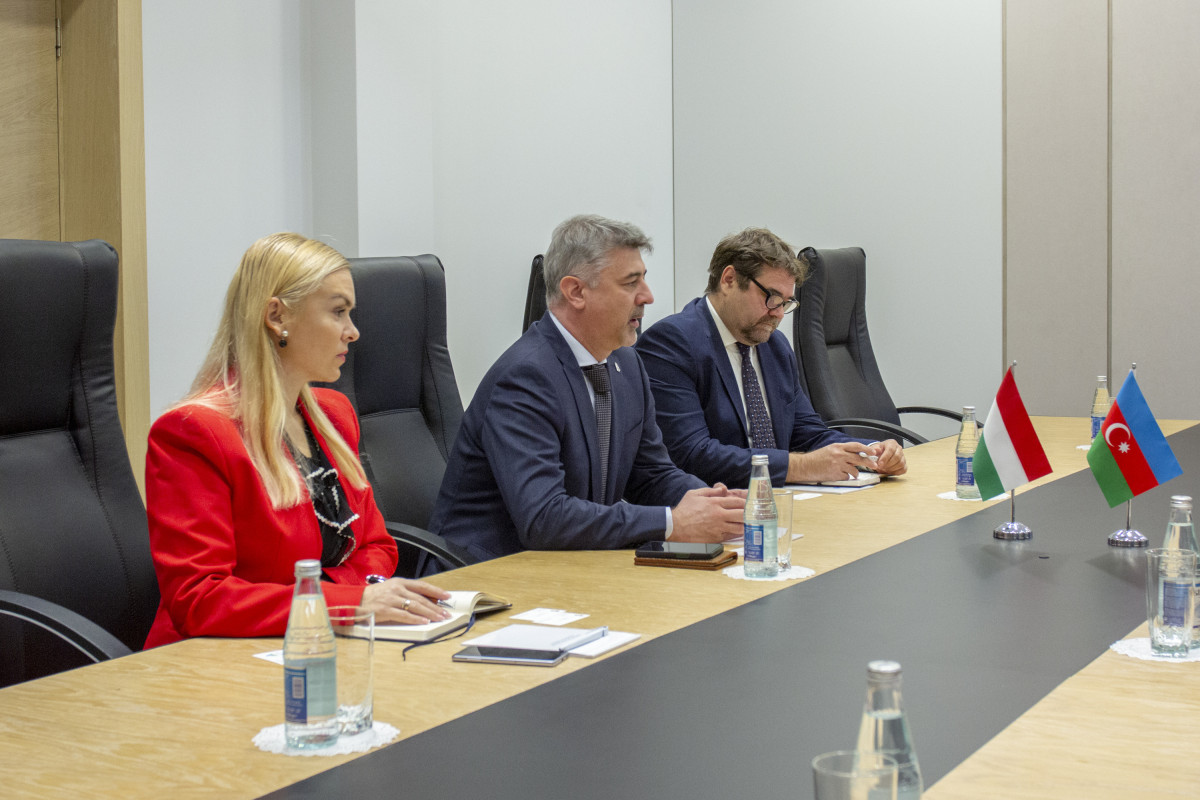 Macar şirkətləri azad olunmuş ərazilərin “Yaşıl enerji zonası”na çevrilməsində iştirak edəcəklər