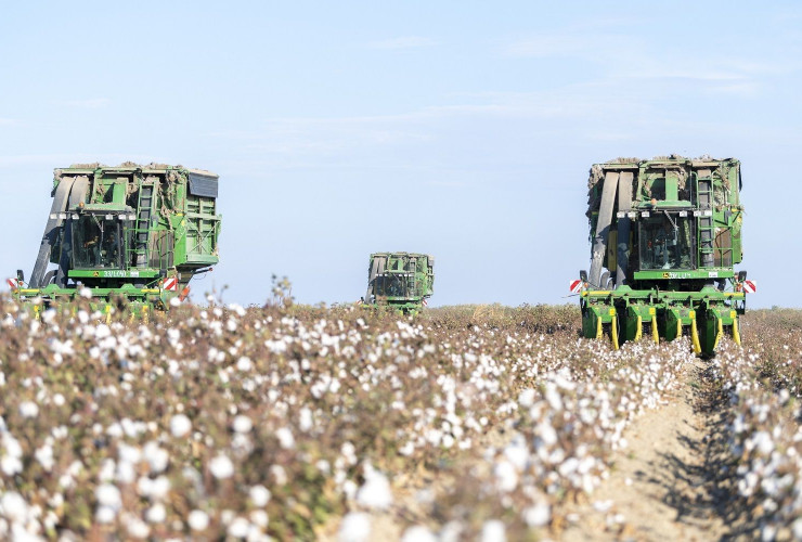 Azərbaycanın 16 rayonunda məhsul yığımı davam edir