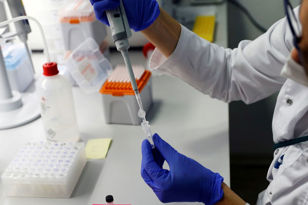 Daha bir ölkədə meymunçiçəyinə ilk yoluxma baş verib