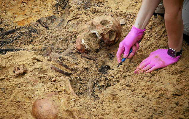 Sovet əsgərlərinin kütləvi qalıqları tapıldı