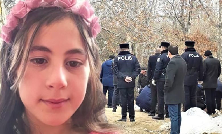 Qoyun cəsədinə Nərminin paltarından geyindirib, yandırdılar – Məhkəmədə şok videogörüntülərə baxıldı