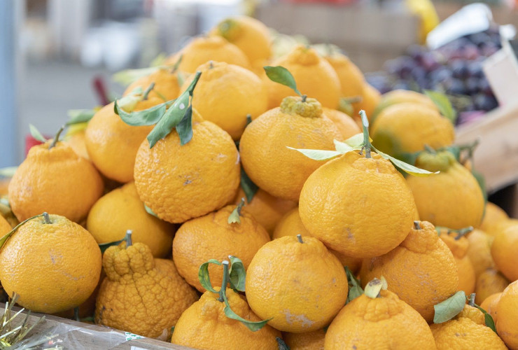 19-20 noyabr tarixlərində Bakı və Abşeronda “Kənddən Şəhərə” həftəsonu yarmarkaları təşkil olunacaq