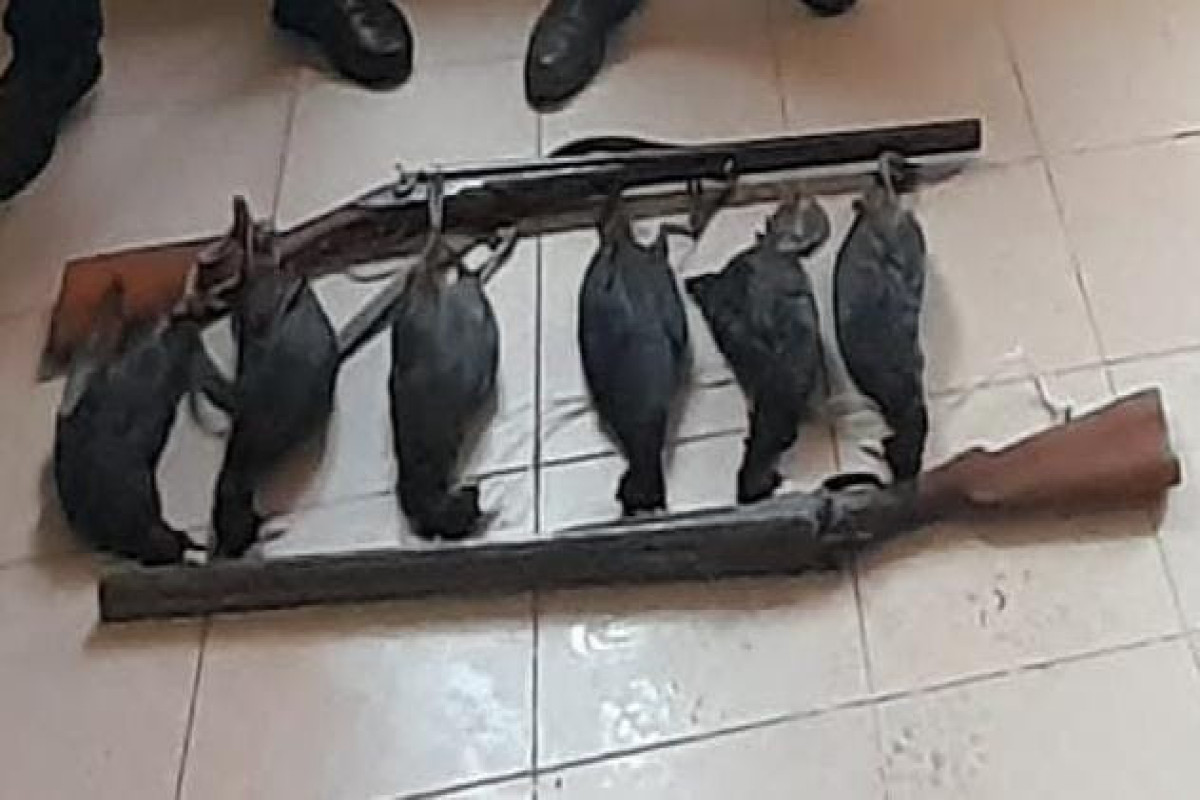 Şabranda ov edənlər saxlanılıb - FOTO