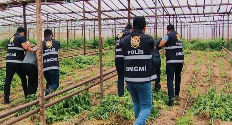 Ağdaş polisindən əməliyyat: 9 nəfər saxlanıldı