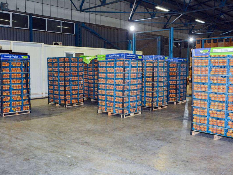 Külli miqdarda siqareti portağal yeşiklərinin arasında gizlətdi