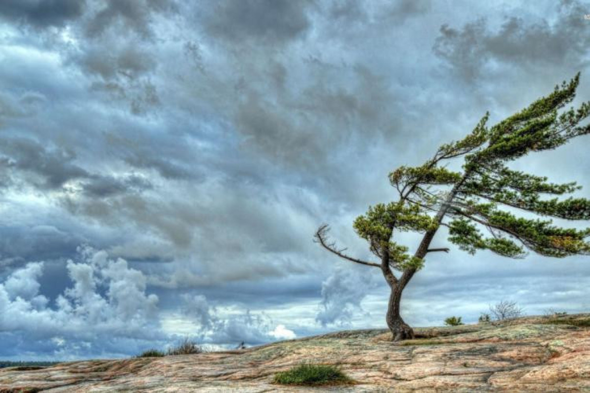 Sabahın hava proqnozu açıqlanıb
