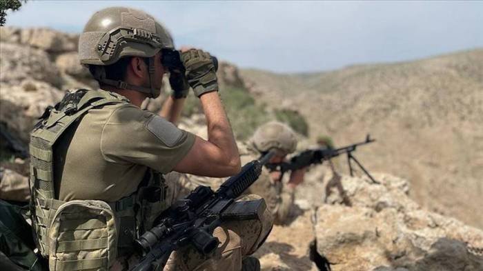Türkiyə ordusunun antiterror əməliyyatı davam edir, 254 terrorçu məhv edilib