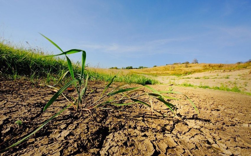 Azad edilmiş ərazilərdə torpaqların kateqoriyasının dəyişdirilməsinin sadələşdirilmiş qaydası təsdiq edilib