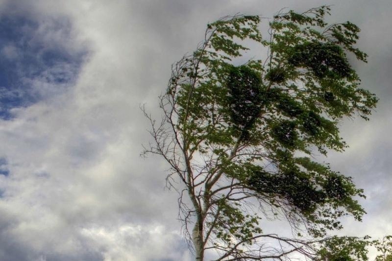 Bazar günü yağış yağacaq, güclü külək əsəcək