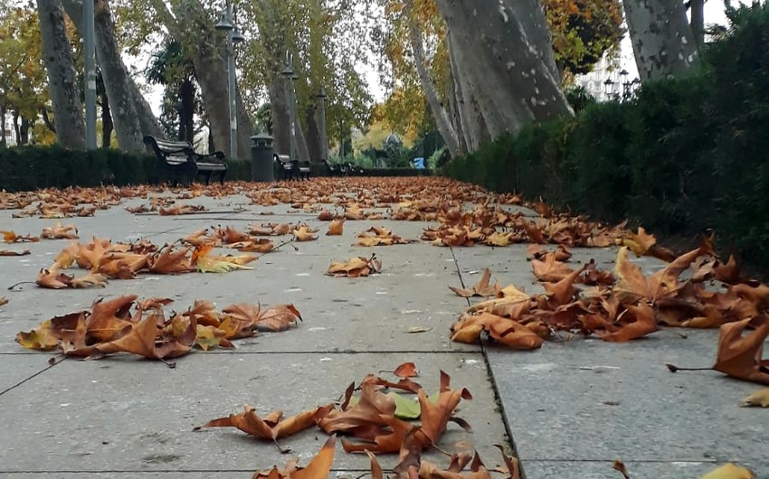 Sabah temperatur aşağı enəcək, güclü külək əsəcək, yağıntılar intensivləşəcək