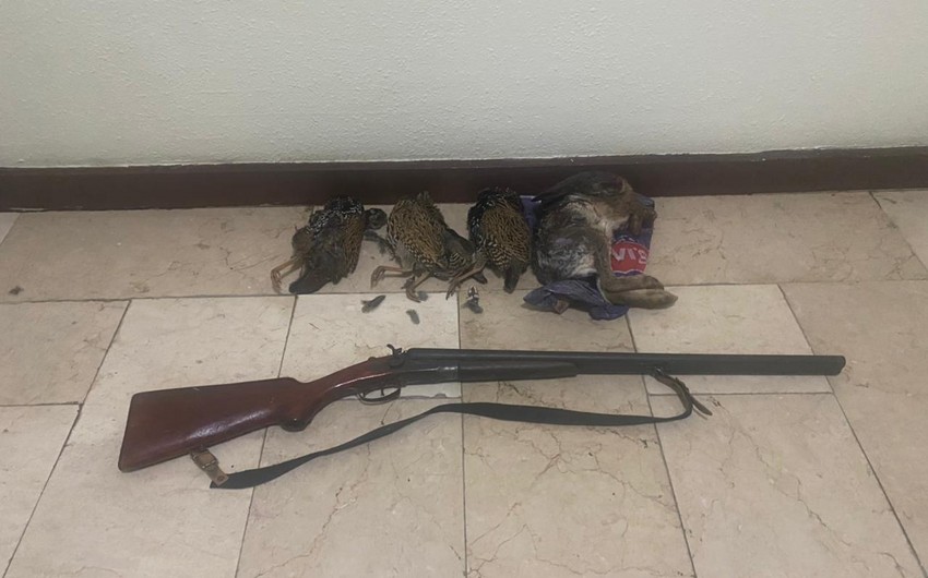 Kürdəmirdə qanunsuz ov edən şəxs saxlanılıb