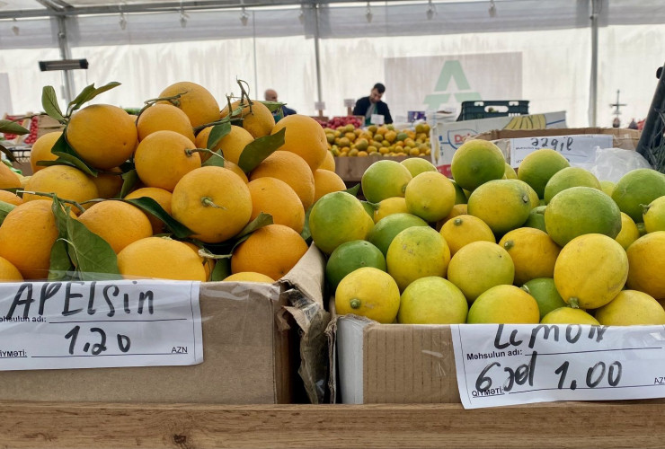 Həftəsonu Bakı və Abşeronda “Kənddən Şəhərə” yarmarkaları təşkil olunacaq