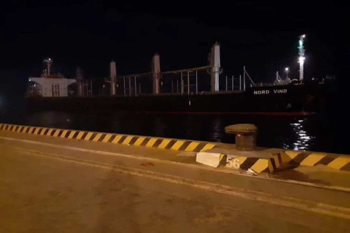 Ukrayna taxılını daşıyan ilk gəmi Efiopiyaya çatıb