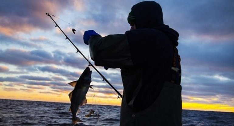 Qanunsuz ov edənlər cəzalandırıldı
