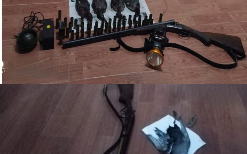 Masallıda qanunsuz ov edən şəxslər saxlanılıb