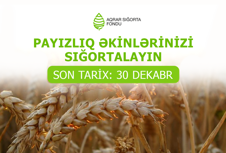 Aqrar Sığorta Fondu fermerlərə müraciət edib: “Payızlıq əkinlərinizi dekabrın 30-dək sığortalayın”