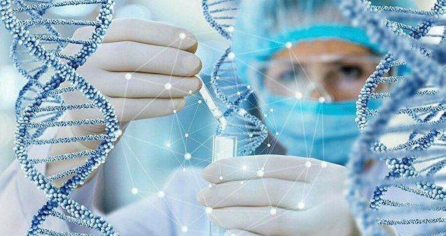 65 illik qətlin sirri DNT texnologiyası ilə açılıb