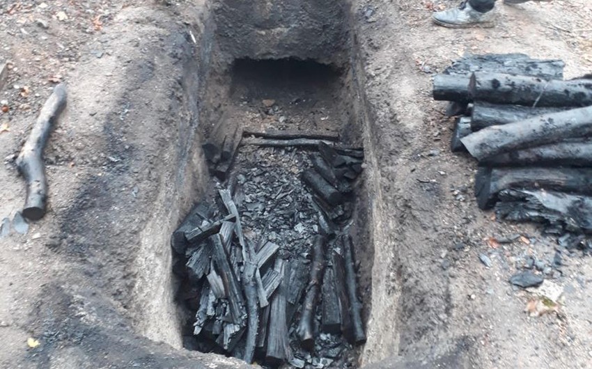 Cəlilabadda qanunsuz kömür quyuları aşkar edilib