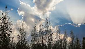 Bazar gününə olan hava proqnozu açıqlanıb