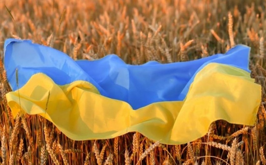 Ukraynadan dünya ölkələrinə ixrac olunan taxılın miqdarı 14 milyon tonu keçib