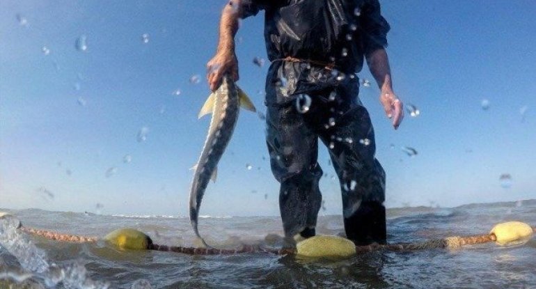 Qanunsuz ov edənlər cəzalandırıldı