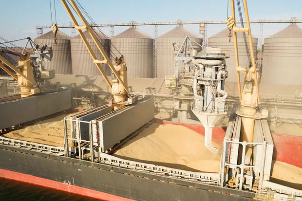 Rusiya ilk dəfə Türkiyəyə rublla taxıl tədarük edib