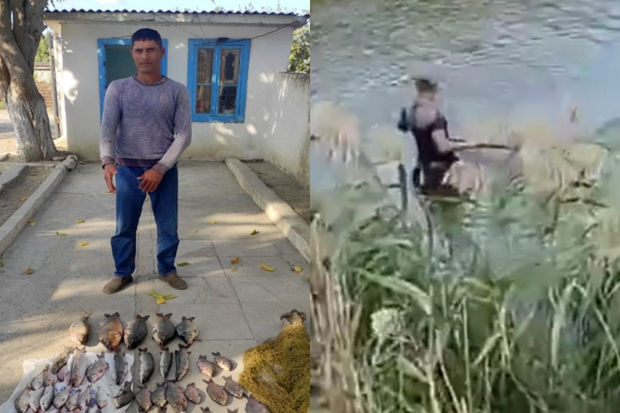 Brakonyerliklə məşğul olan şəxs tutuldu - FOTO/VİDEO