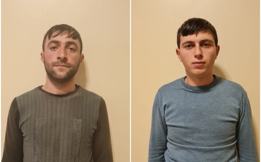 Göygöldə it döyüşdürən şəxslər saxlanılıb