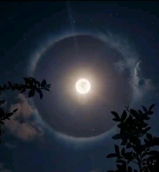 Azərbaycan səmasında Ayın ətrafında nəhəng dairə müşahidə olundu - FOTO