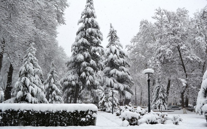 В Исмаиллы высота снежного покрова достигла 30 см