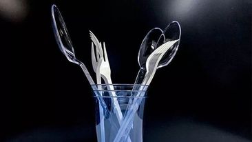 İngiltərədə birdəfəlik istifadə olunan plastiklərə qadağalar qoyulub