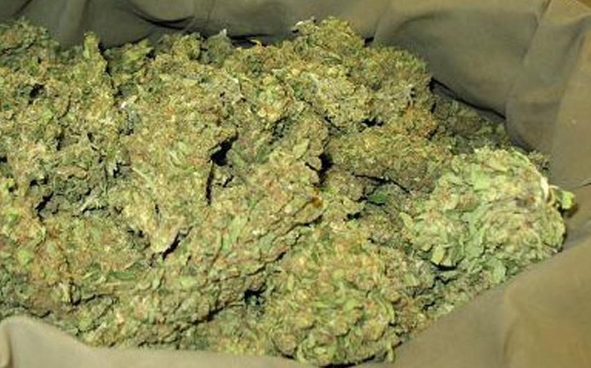 Qubada türkəçarə müalicə ilə məşğul olan şəxs narkotiklə saxlanılıb