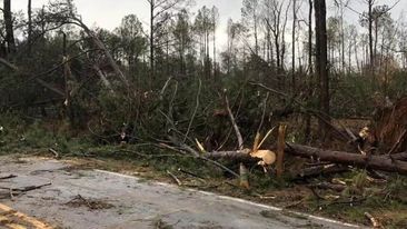 ABŞ-da tornado fəlakəti baş verib : 7 ÖLÜ