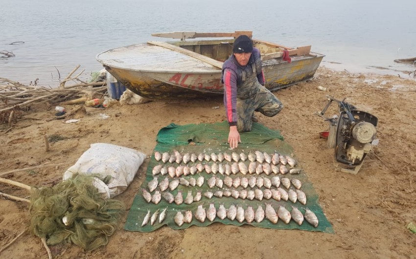 Şəmkirdə qanunsuz balıq ovu ilə məşğul olan şəxs saxlanılıb